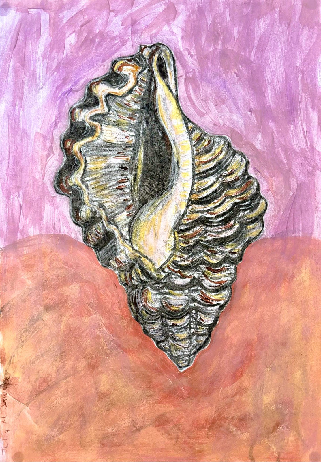 Sydney Shell